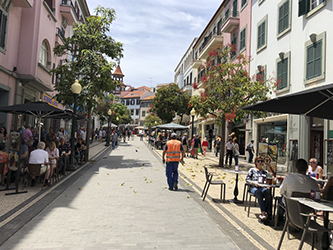 Ecobalsato Fernão Ornelas