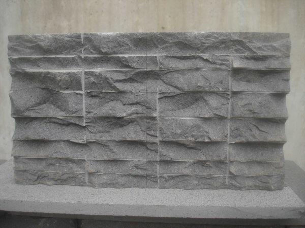 Tiras04