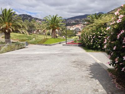 Ilhéu de Câmara de Lobos